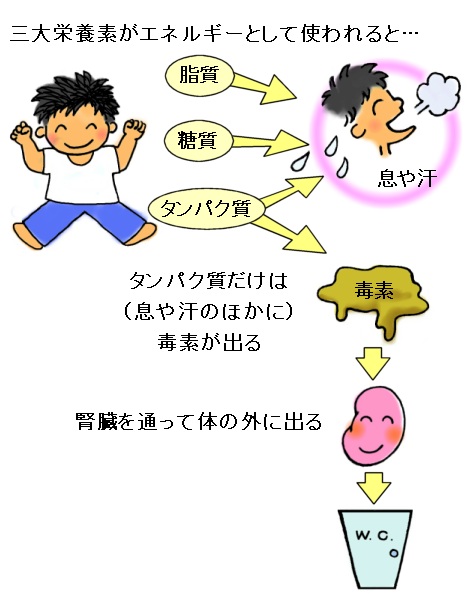 GlM[ƂĎgA⑧AőfƂȂAőf͐tʂĔr